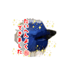 ほわっと君とお花達（個別スタンプ：2）