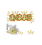 ほわっと君とお花達（個別スタンプ：13）