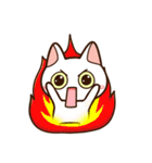 楽しくかわいいシロねこ（個別スタンプ：12）