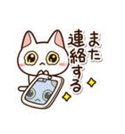 楽しくかわいいシロねこ（個別スタンプ：15）