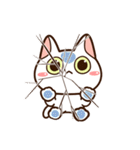 楽しくかわいいシロねこ（個別スタンプ：32）