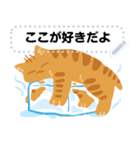 AYS猫ちゃん暑い（個別スタンプ：12）