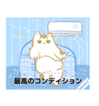 AYS猫ちゃん暑い（個別スタンプ：18）