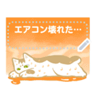 AYS猫ちゃん暑い（個別スタンプ：19）