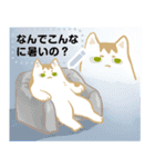 AYS猫ちゃん暑い（個別スタンプ：20）