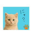 ネコの福のお言葉（水色）（個別スタンプ：7）