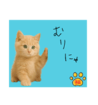 ネコの福のお言葉（水色）（個別スタンプ：9）