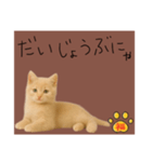 ネコの福のお言葉（ブラウン）（個別スタンプ：14）