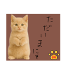 ネコの福のお言葉（ブラウン）（個別スタンプ：16）
