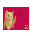 ネコの福のお言葉（赤）（個別スタンプ：5）