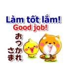 ベトナム、日本語、英語 コタとピヨ 連絡用（個別スタンプ：26）