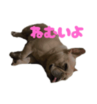 るるちゃんふんふんらいふ（個別スタンプ：3）