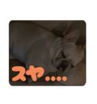 るるちゃんふんふんらいふ（個別スタンプ：7）