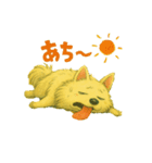 ポメラニアン真夏の日記（個別スタンプ：1）