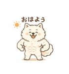 マッチョポメラニアン（個別スタンプ：2）