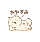 マッチョポメラニアン（個別スタンプ：3）