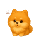 ワンだふる｜ポメラニアン【台湾語】（個別スタンプ：3）