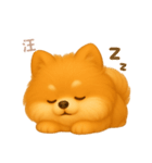 ワンだふる｜ポメラニアン【台湾語】（個別スタンプ：4）