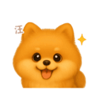ワンだふる｜ポメラニアン【台湾語】（個別スタンプ：5）