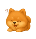 ワンだふる｜ポメラニアン【台湾語】（個別スタンプ：6）