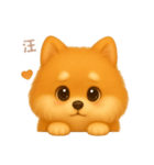 ワンだふる｜ポメラニアン【台湾語】（個別スタンプ：7）