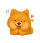 ワンだふる｜ポメラニアン【台湾語】（個別スタンプ：8）