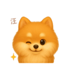 ワンだふる｜ポメラニアン【台湾語】（個別スタンプ：9）