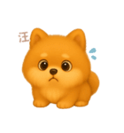 ワンだふる｜ポメラニアン【台湾語】（個別スタンプ：12）