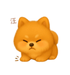 ワンだふる｜ポメラニアン【台湾語】（個別スタンプ：13）