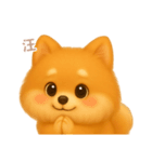 ワンだふる｜ポメラニアン【台湾語】（個別スタンプ：14）