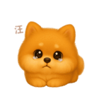 ワンだふる｜ポメラニアン【台湾語】（個別スタンプ：15）