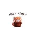 超かわいいレッサーパンダ（個別スタンプ：3）