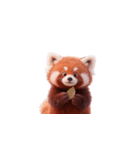 超かわいいレッサーパンダ（個別スタンプ：10）