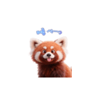 超かわいいレッサーパンダ（個別スタンプ：13）