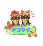可愛い～ワンコたちだワン♡③（個別スタンプ：5）