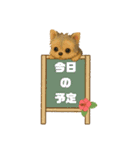 可愛い～ワンコたちだワン♡③（個別スタンプ：27）