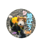 ワイヤーフォックステリアの夏の思い出②（個別スタンプ：3）