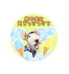 ワイヤーフォックステリアの夏の思い出②（個別スタンプ：21）