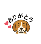 ビーグル〜♡（個別スタンプ：1）