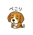 ビーグル〜♡（個別スタンプ：4）