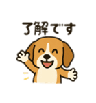 ビーグル〜♡（個別スタンプ：6）