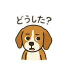 ビーグル〜♡（個別スタンプ：9）
