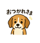 ビーグル〜♡（個別スタンプ：10）