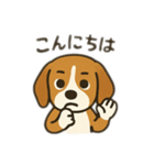ビーグル〜♡（個別スタンプ：11）