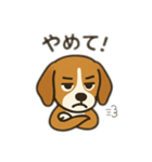 ビーグル〜♡（個別スタンプ：12）