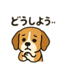 ビーグル〜♡（個別スタンプ：13）
