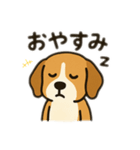 ビーグル〜♡（個別スタンプ：14）