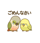 インコのまいにちスタンプ（個別スタンプ：2）