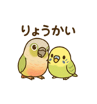 インコのまいにちスタンプ（個別スタンプ：4）