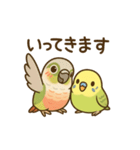 インコのまいにちスタンプ（個別スタンプ：6）